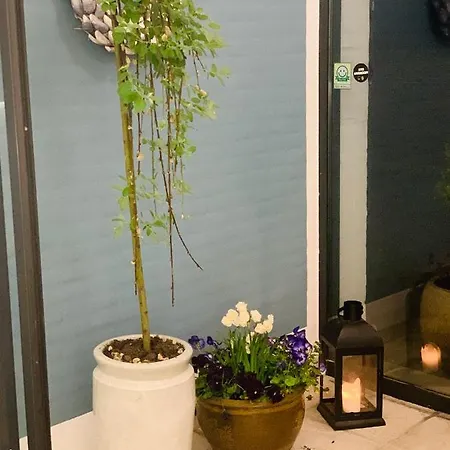 Strandhotellet Vederso 酒店 乌尔夫堡