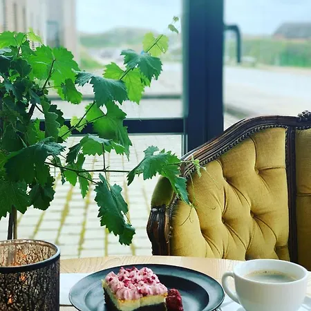 酒店 Strandhotellet Vederso 3*